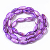 Natural Freshwater Shell Beads SHEL-R047-02C-2