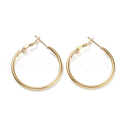 Ring 304 Stainless Steel Hoop Earrings for Women Men EJEW-B049-02C-G-1