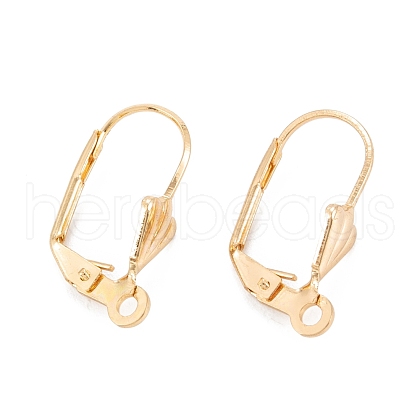 304 Stainless Steel Leverback Earring Findings STAS-K218-08G-1