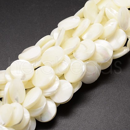 Natural Trochid Shell/Trochus Shell Beads Strands SSHEL-K016-02-1