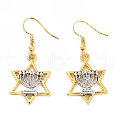 Alloy Dangle Earrings EJEW-Q802-04-1