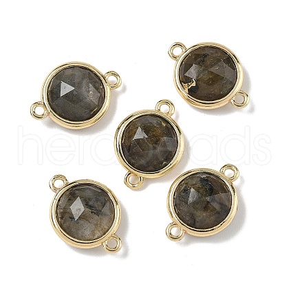 Brass Pave Natural Labradorite Faceted Flat Round Connector Charms G-U028-04G-16-1