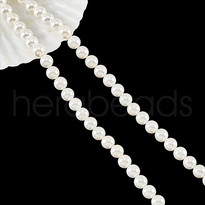 Glass Pearl Beads Strands SHEL-WH0001-009B-1-1