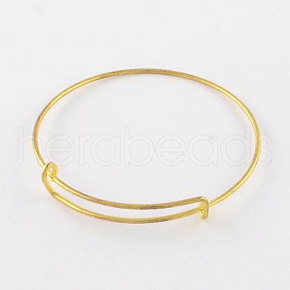 Adjustable Iron Expandable Bangle Making BJEW-R038-G-1