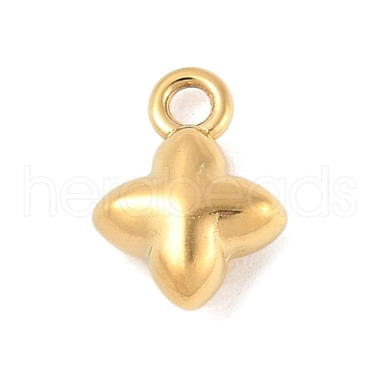304 Stainless Steel Charms STAS-Q351-09G-1