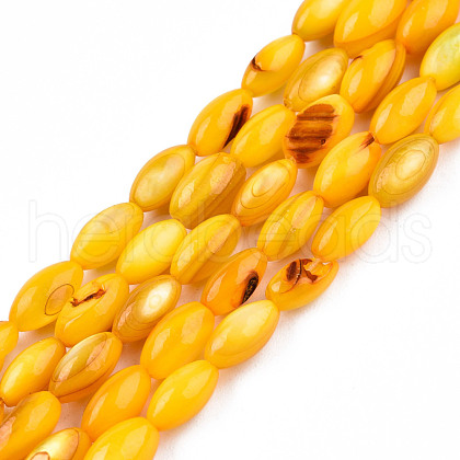 Natural Freshwater Shell Beads Strands SHEL-N026-212-B05-1