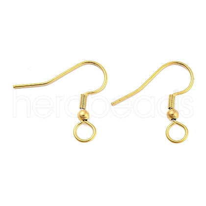 304 Stainless Steel Earring Hooks STAS-B047-30G-1