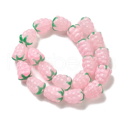 Handmade Lampwork Beads Strands LAMP-G162-05H-1