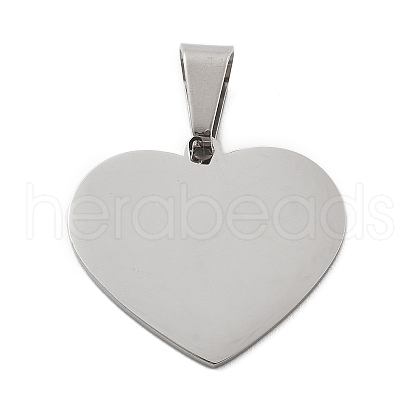 304 Stainless Steel Pendants STAS-F313-13P-1