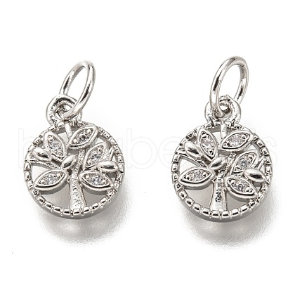 Brass Micro Pave Clear Cubic Zirconia Charms ZIRC-B002-66P-1