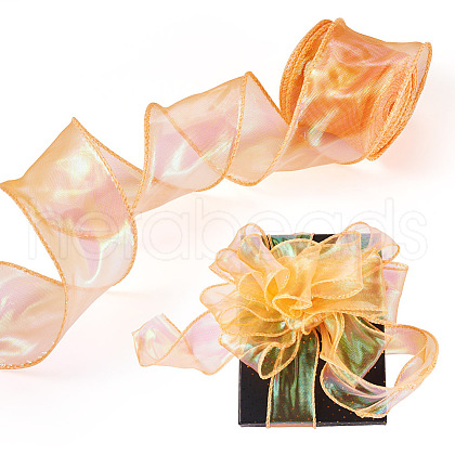 10 Yards Polyester Iridescent Ribbon OCOR-TAC0017-04C-1