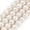 Natural Cultured Freshwater Pearl Beads Strands PEAR-C003-09C-2