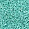 Cylinder Seed Beads SEED-H001-E05-4
