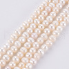 Natural Cultured Freshwater Pearl Beads Strands PEAR-N010-02B-01-2