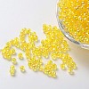 Eco-Friendly Transparent Acrylic Beads PL733-6-1