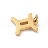 304 Stainless Steel Charms STAS-R001-04G-03-2
