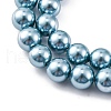 Shell Pearl Beads Strands BSHE-K015-6mm-02-3