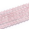 Natural Rose Quartz Beads G-H266-23-1