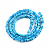Natural Freshwater Shell Beads Strands SHEL-N026-213-B02-2