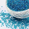 12/0 Grade A Round Glass Seed Beads SEED-Q010-F551-1