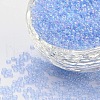 8/0 Grade A Round Glass Seed Beads SEED-Q010-3mm-F542-1