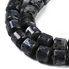 Natural Larvikite Beads Strands G-L604-E07-01-4