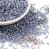 Glass Seed Beads X-SEED-S042-04B-22-1