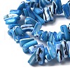 Dyed Natural Trochus Shell Beads Strands SSHEL-C013-09F-3