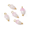 Flower Acrylic Charms PALLOY-JF03588-04-1
