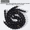 Olycraft 2 Strands Natural Golden Sheen Obsidian Beads Strands G-OC0003-52-4