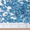 MIYUKI Round Rocailles Beads X-SEED-G007-RR0025-4