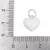 Alloy Enamel Charms PALLOY-R158-03S-01-3