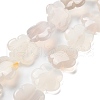 Natural White Agate Beads Strands G-F769-G01-02-2