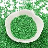 Baking Paint Glass Seed Beads SEED-S042-05B-56-2