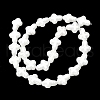 Handmade Lampwork Enamel Beads BLOW-D300-06K-2