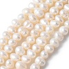 Natural Cultured Freshwater Pearl Beads Strands PEAR-I007-07R-01-2