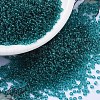 MIYUKI Round Rocailles Beads SEED-X0054-RR2405-4