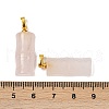 Natural Rose Quartz Pendants G-F795-E01-G-3