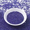 MIYUKI Round Rocailles Beads X-SEED-G007-RR0484-2