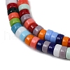 Handmade Lampwork Beads Strands LAMP-S070-10-3