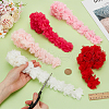BENECREAT 5 Yards 5 Colors Polyester Chiffon Lace Trim SRIB-BC0001-29-3