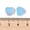 Imitation Candy Food Style Resin Cabochons RESI-R461-01M-4