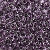 Transparent Glass Round Seed Beads X1-SEED-B001-05A-25-3