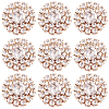 AHADERMAKER 30Pcs Alloy Rhinestone Cabochons ALRI-GA0001-09KCG-1