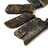 Natural Larvikite Beads Strands G-S386-D10-4