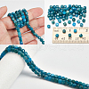  Natural Apatite Beads Strands G-NB0005-74-4