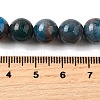 Natural Apatite Beads Strands G-H287-01B-01-4