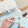   20 Yards Pom Pom Ball Nylon Trim Ribbon OCOR-PH0004-30-3