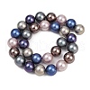 Grade A Shell Pearl Beads Strands PEAR-XCP0001-13B-3