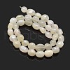 Nuggets Natural White Moonstone Beads Strands X-G-J336-11-2